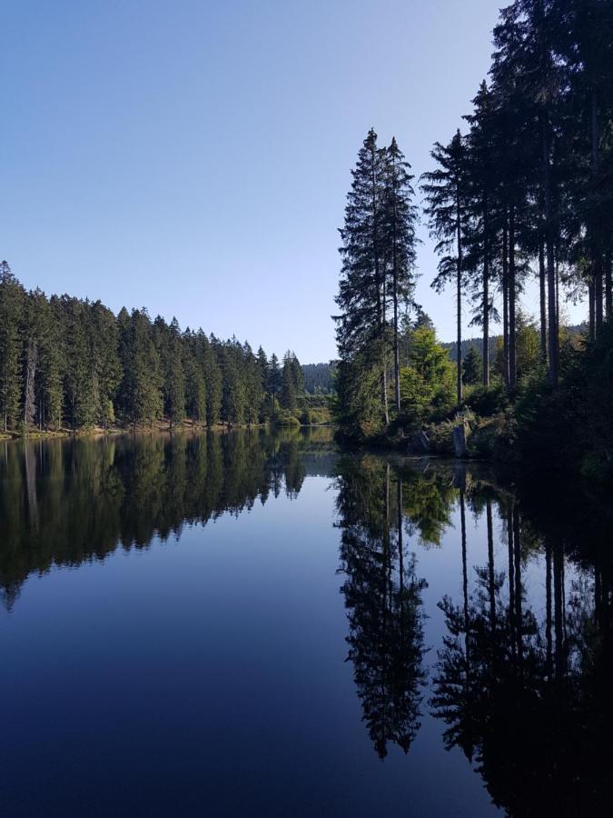 Fewo Nina Exklusiv Design Mit Bergblick Goslar Exteriér fotografie